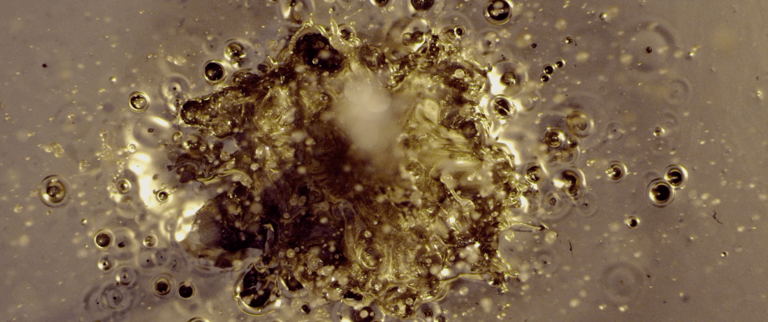 Screen Shot 2018-04-26 at 2.43.57 PM